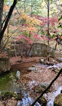 一夜西風(fēng)動紅葉