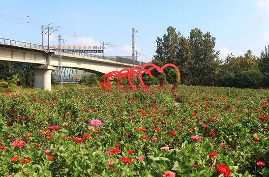 碳匯花海
