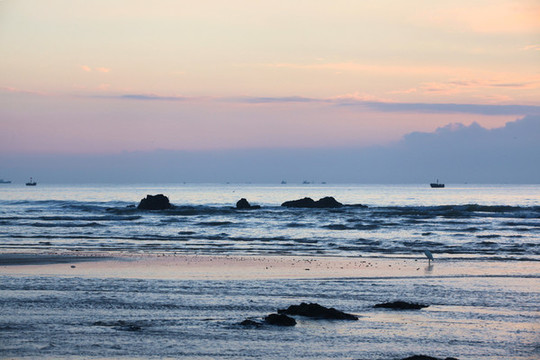 海濱晨色