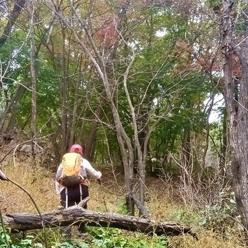 秋山里的背景