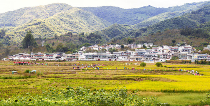 鄉(xiāng)村旅游