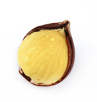 生錐栗仁