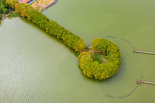 航拍武漢東湖風景區(qū)湖中林蔭道