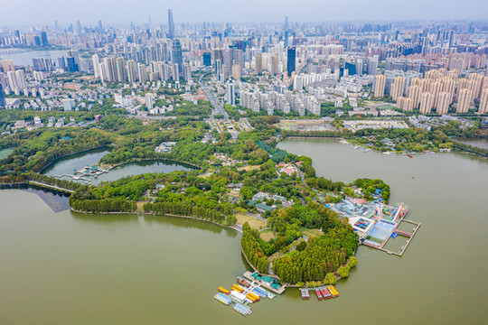 航拍武漢東湖聽(tīng)濤景區(qū)天鵝池