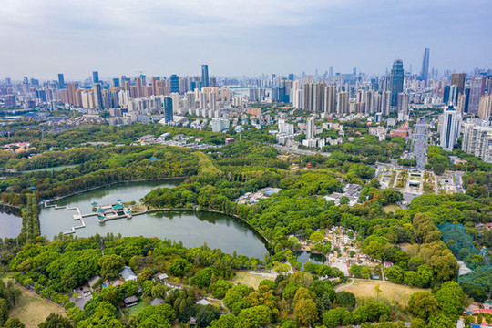 航拍武漢東湖聽濤景區(qū)天鵝池