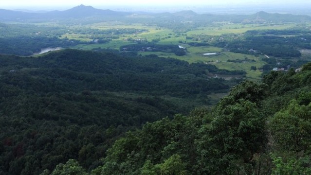 綠原