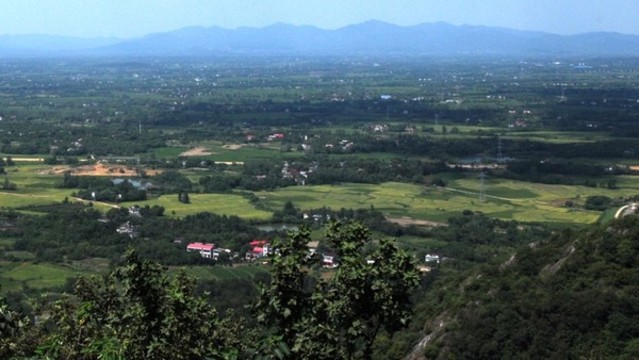 綠原