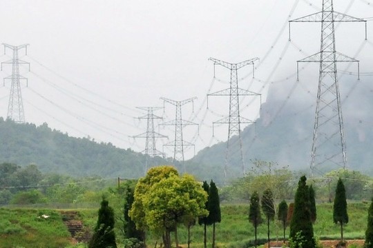 綠野