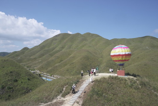 鴛鴦草場