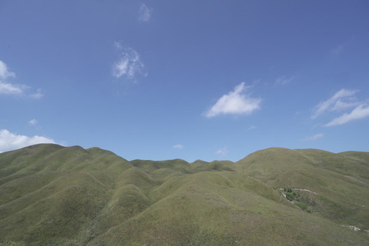 鴛鴦草場(chǎng)