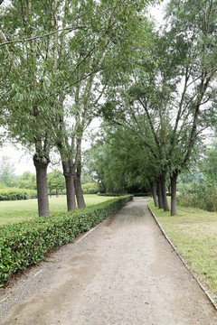 園林步道