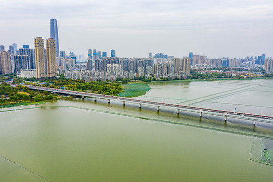 航拍湖北武漢沙湖公園沙湖大橋