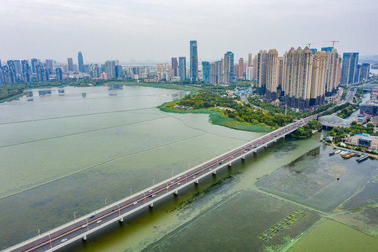 航拍湖北武漢沙湖公園沙湖大橋