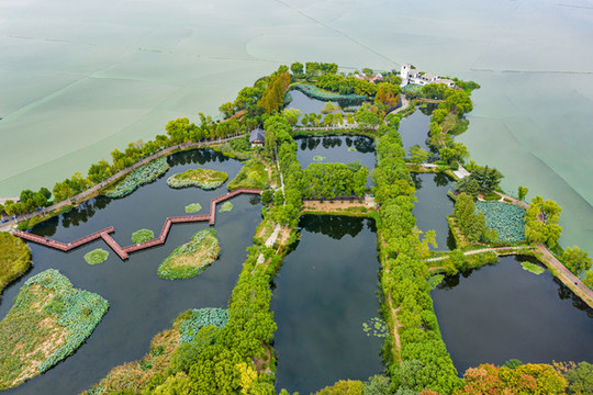 武漢金銀湖國家城市濕地公園