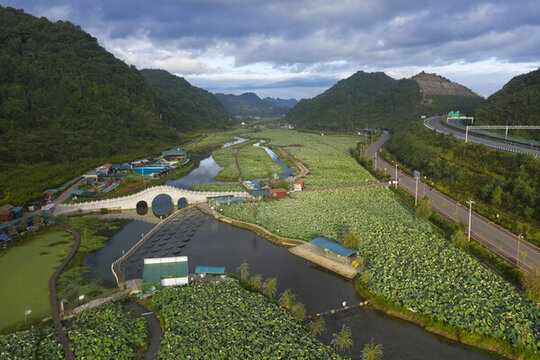十里荷塘濕地公園