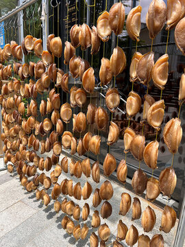 鮑魚(yú)干
