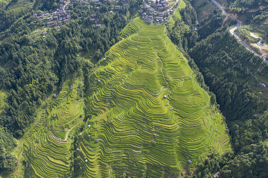 加榜梯田