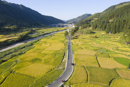 稻田山村