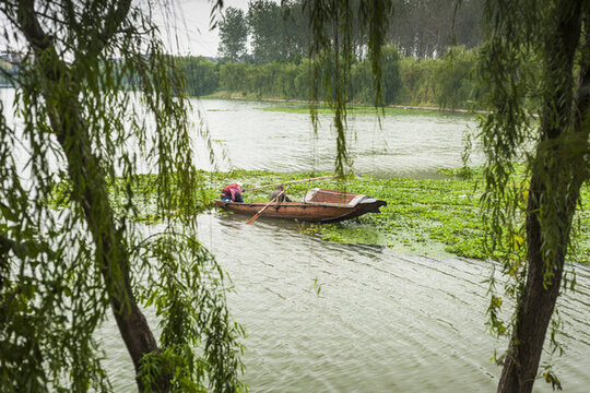 溱潼溱湖