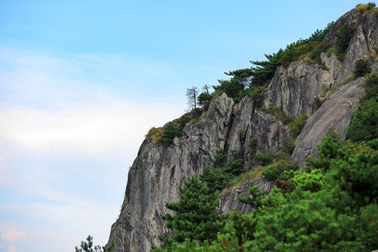 括蒼山