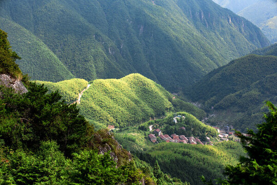 括蒼山