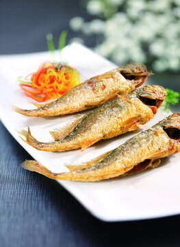 東海小黃魚(yú)