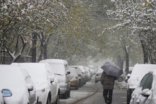 校園里一位老人撐傘在雪中行走