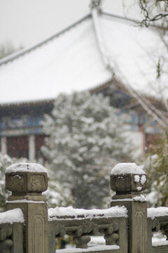 冬天里校園石柱上厚厚的積雪