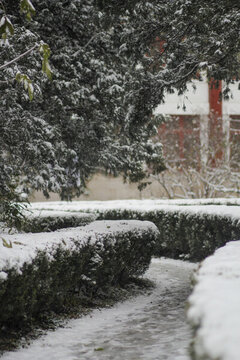 冬天校園里下著大雪