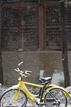 北京大學(xué)校園雪景