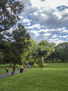澳大利亞墨爾本一所公園全景圖