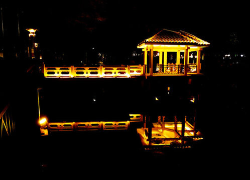 蓮湖夜景燈光