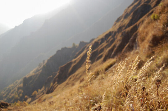 大山里的秋色