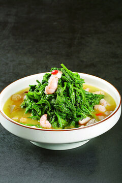 金湯桑莧菜