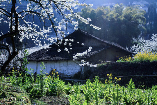 春暖花開