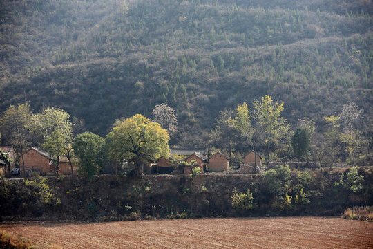 大山里的人家