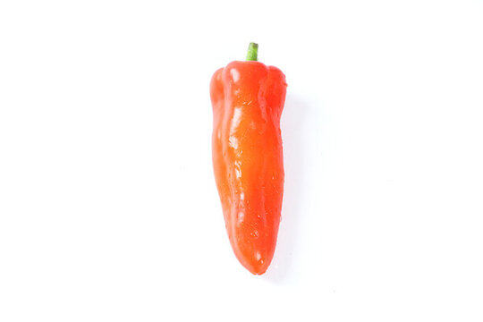 紅辣椒