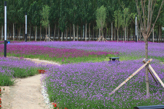 大慶百花園