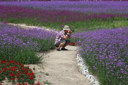 大慶百花園