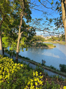 公園湖水綠道