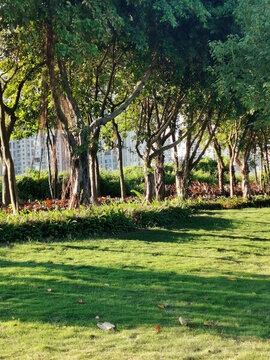 公園風(fēng)景