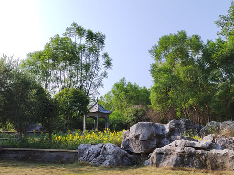 公園涼亭