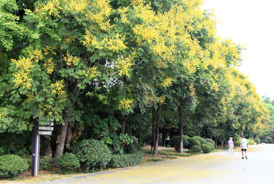 遺愛湖公園