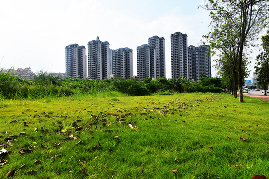 綠地與高樓
