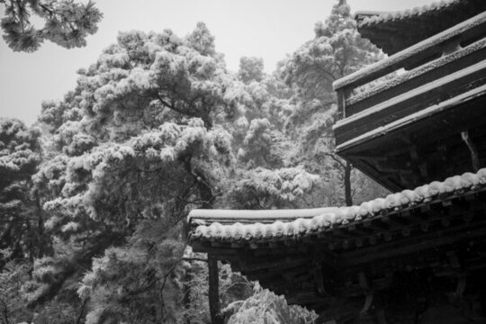 敬亭山雪景