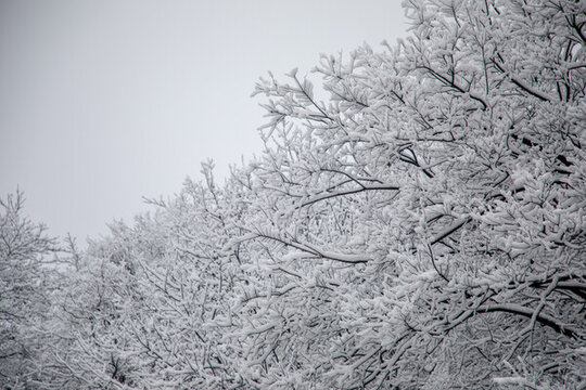 敬亭山雪景
