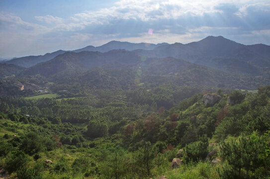 山峰山谷森林植被