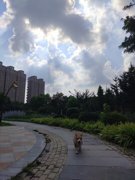 城市天空