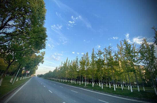 林蔭大道