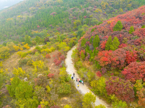 濟(jì)南歷城彩石鎮(zhèn)紅葉爛漫